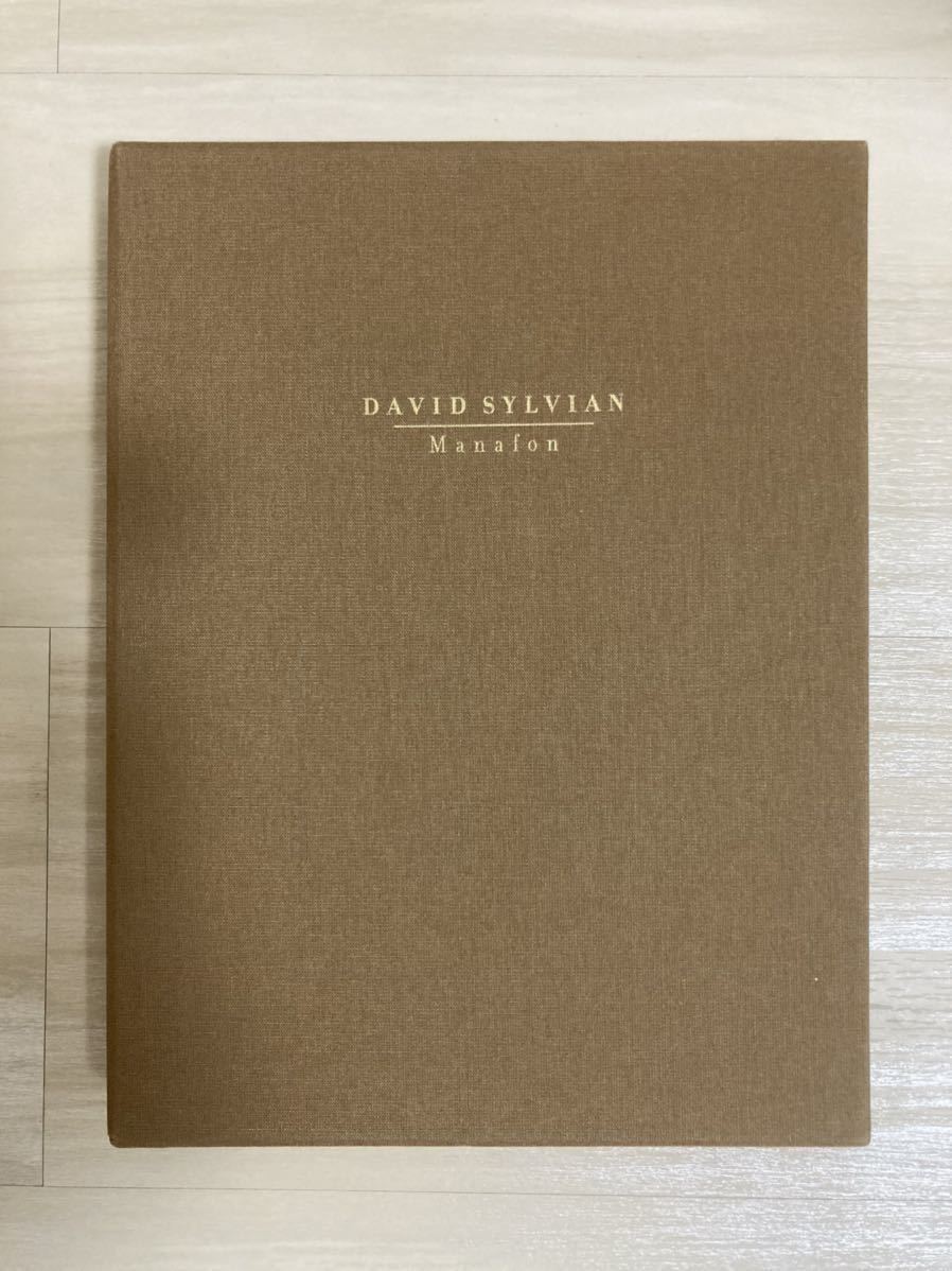 Manafon vinyl edition - David Sylvian : Expect Everything And
