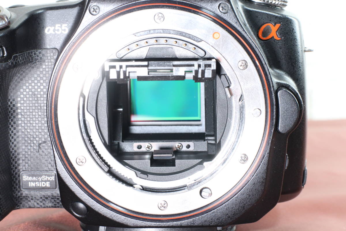 訳 SONY SLT-A55V α55 ボディ Aマウント ソニー α（ソニー） 【公式通販】