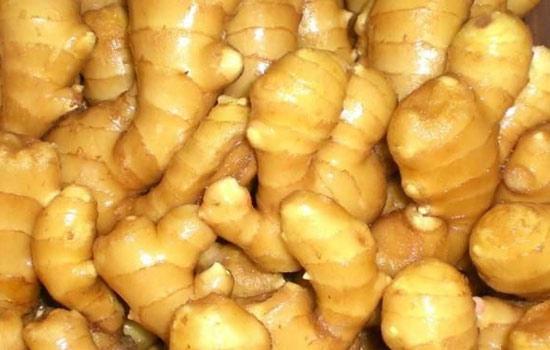 生姜 種生姜 | 10kg 生姜工房 種用 カントリーファーム絆園タナカ