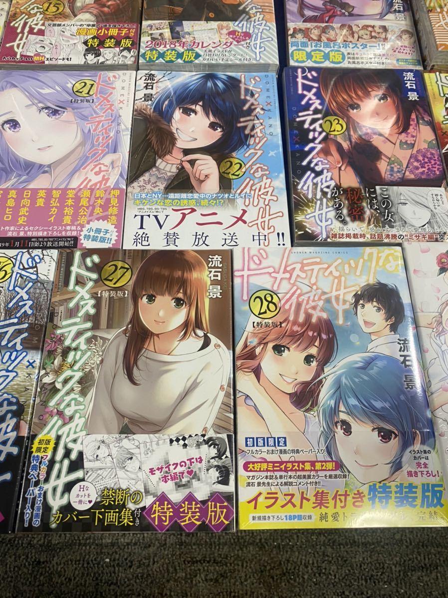 全初版】ドメスティックな彼女 全巻セット 1～28巻 公式薄い本 特装版  