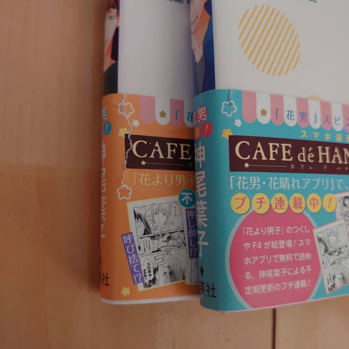 激安価格と即納で通信販売 花より男子 だんご 1 36 37 5 Laboratoriosertex Com Ar