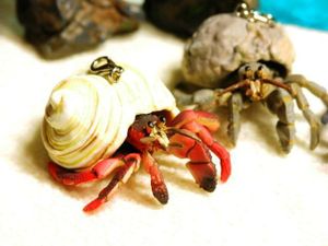 ヤドカリ ストラップの値段と価格推移は 7件の売買情報を集計したヤドカリ ストラップの価格や価値の推移データを公開