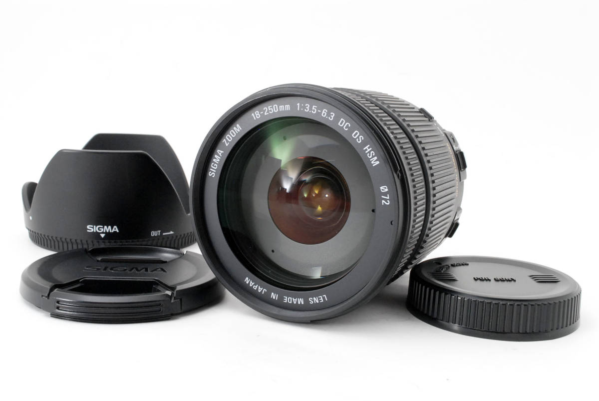 18-250mm DC OS F3.5-6.3 HSM シグマ SIGMA MACRO キヤノン用 EO | ニコン