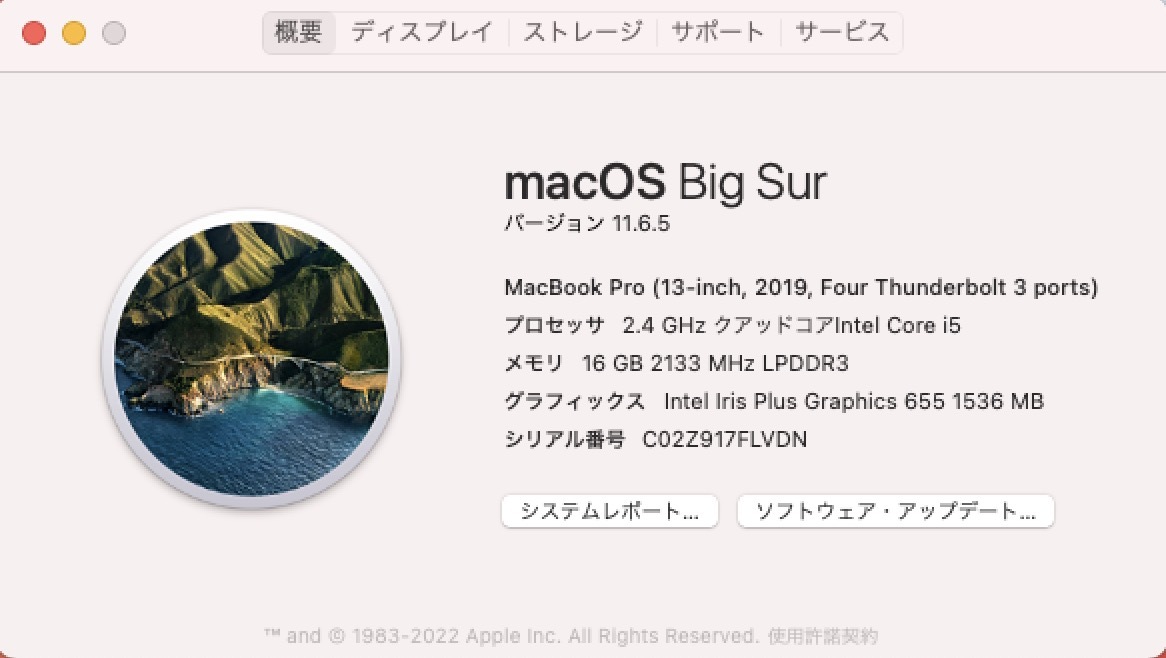 ジャンクMacBook pro 2019(Core i9⁄32GB⁄512GB ジャンク