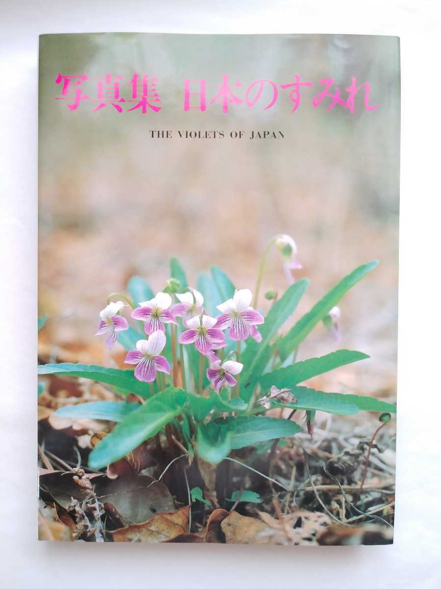 原色日本のスミレ 初版第1刷 原色日本のスミレ 初版第1刷