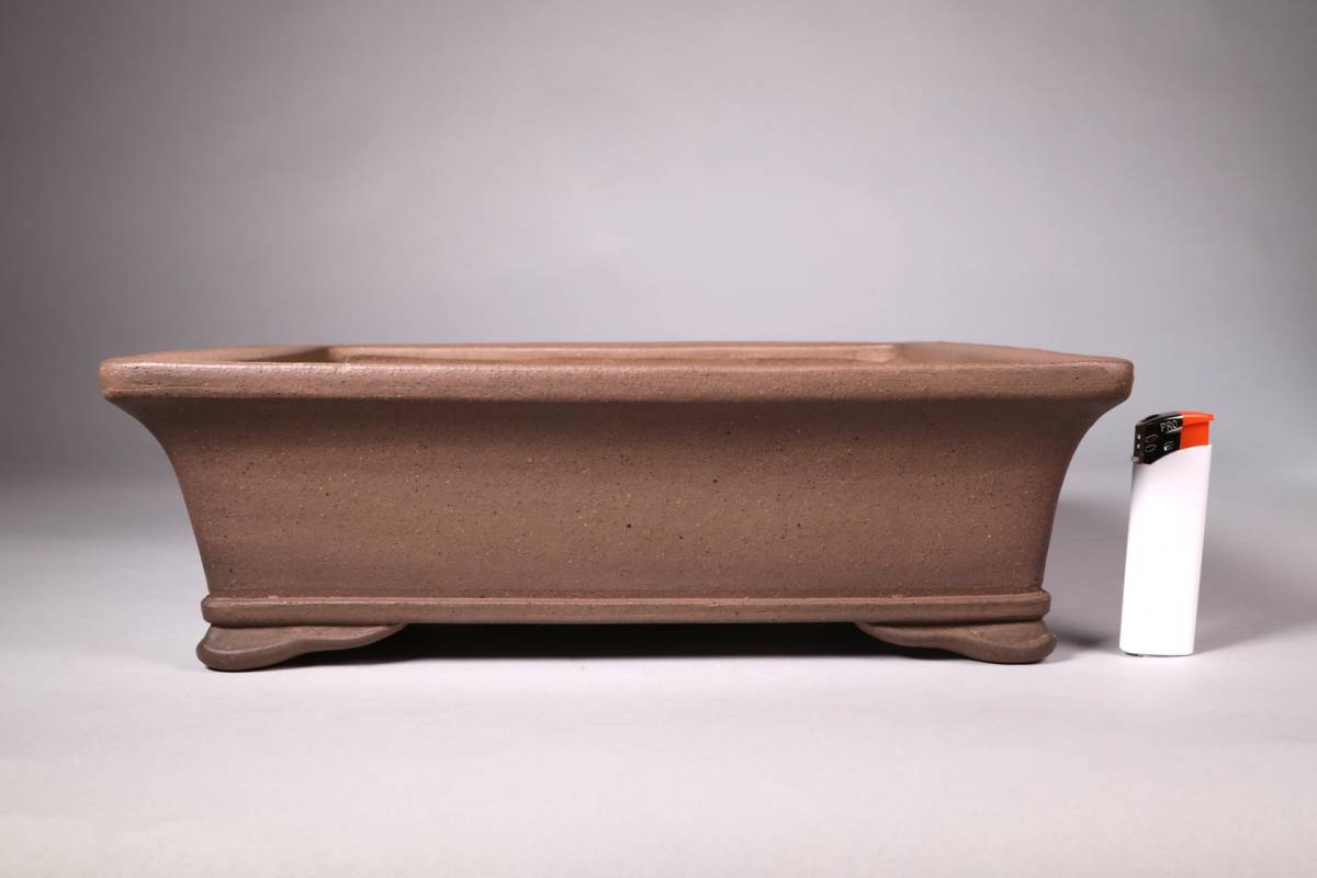 石井盆栽 斉田三峰造 外縁下紐雲足長方鉢 実用サイズ 間口