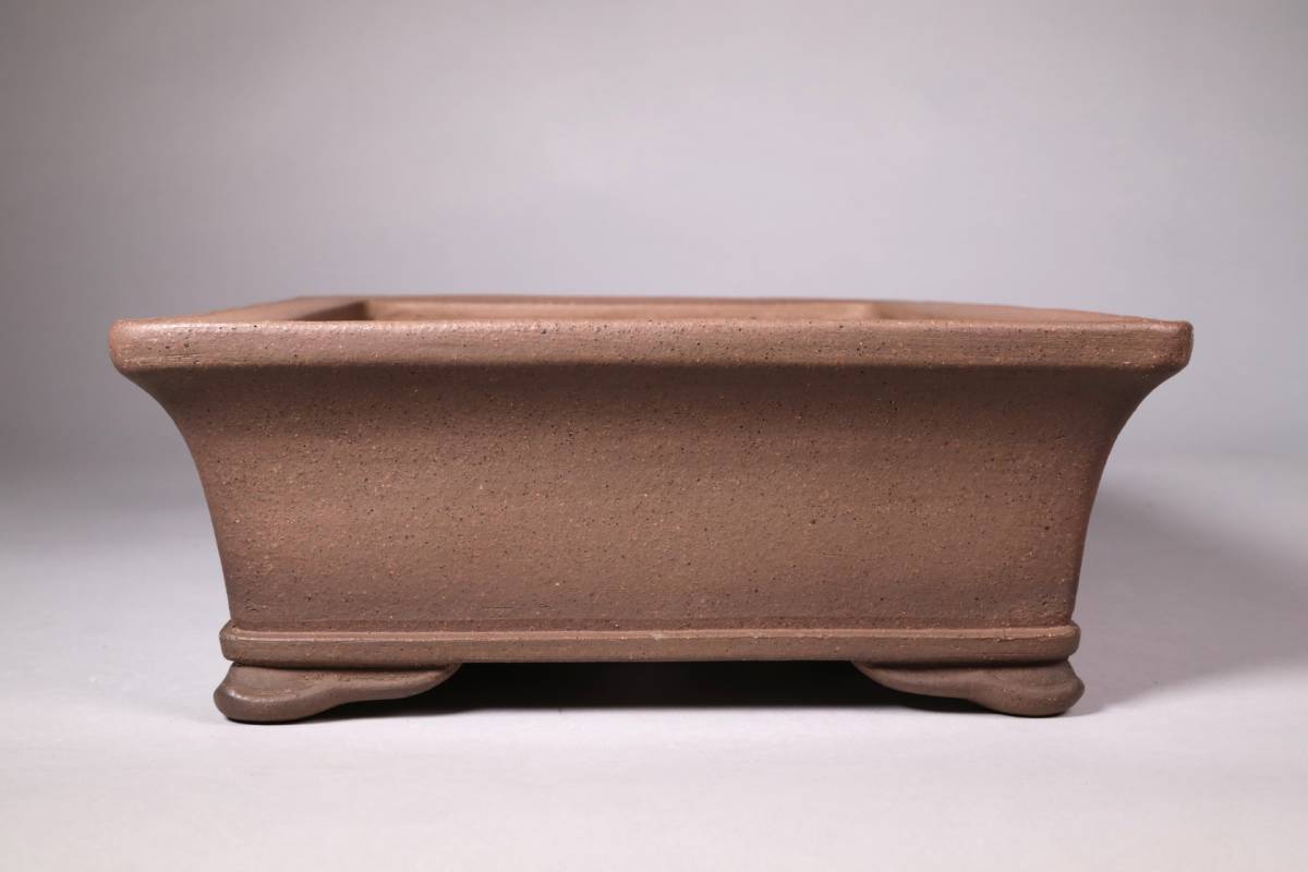 石井盆栽 斉田三峰造 外縁下紐雲足長方鉢 実用サイズ 間口