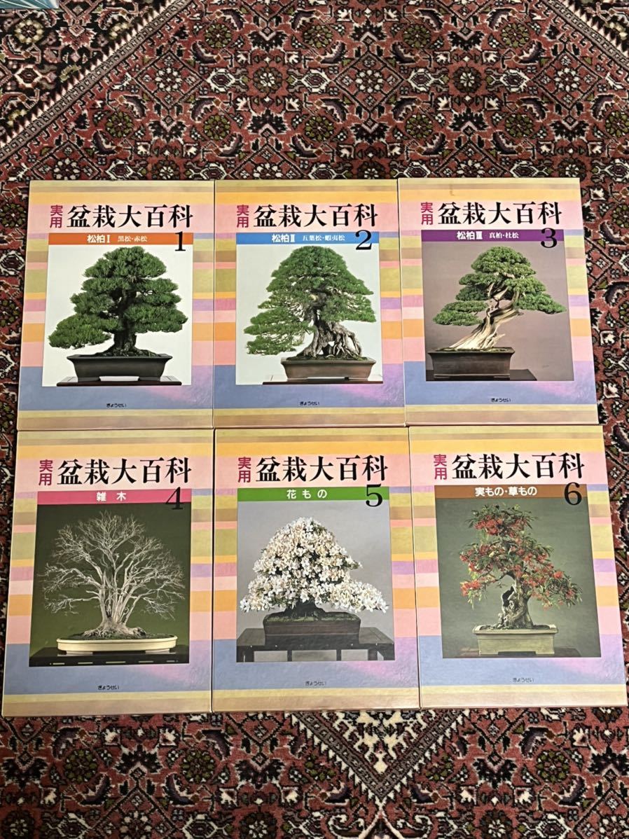 実用 盆栽大百科 1〜6巻セット 盆栽大百科 実用 盆栽 BONSAI 赤松