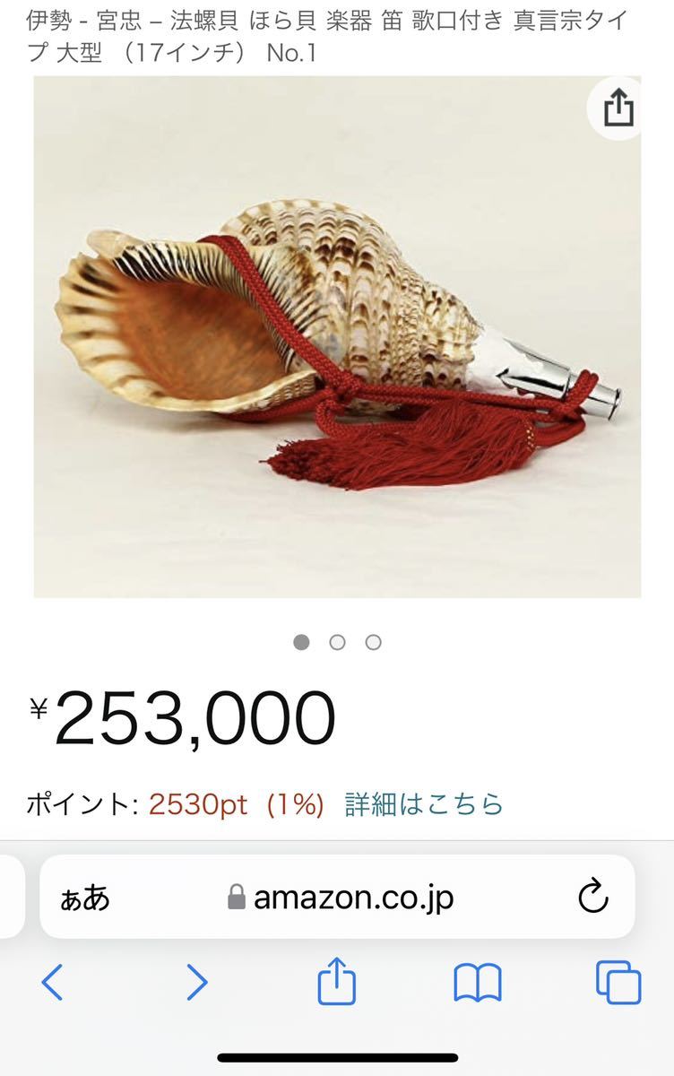 法螺貝 極美品 極大サイズ 42cm 重量級 1 3kg 笛 密教 魔除け 修験者用 山伏 貝 貝殻 ホラガイ ホラ貝 ほら貝 標本 Www Seekapor Com