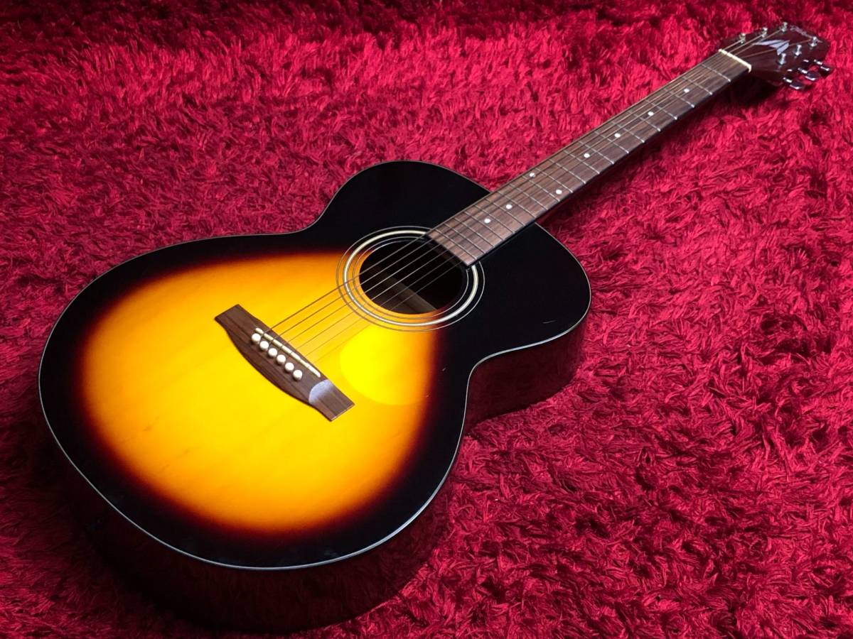 タカミネ TBS アコースティックギター T-F0 Takamine タバコサン 