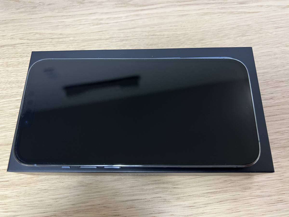 Apple iPhone 13 Pro シエラブルー256GB 美品 純正ケース付 Apple