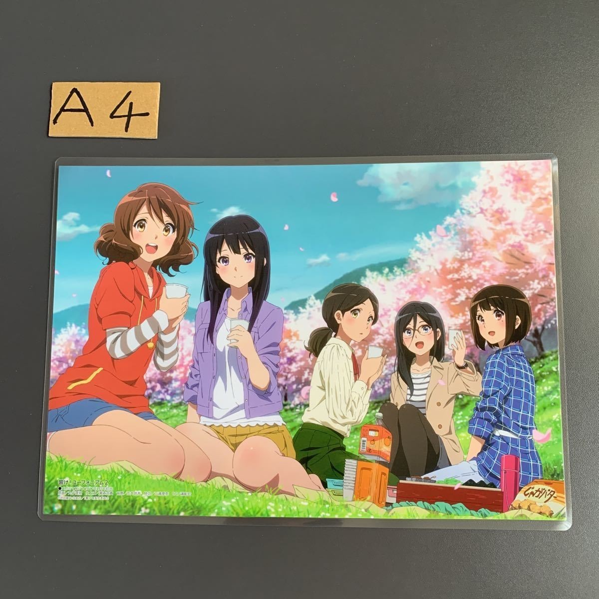 響け！ユーフォニアム 体操服 黄前久美子 高坂麗奈 ラミネート A4