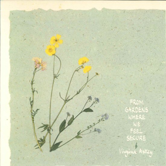 CD Virginia Astley ヴァージニア・アストレイ Rough Trade