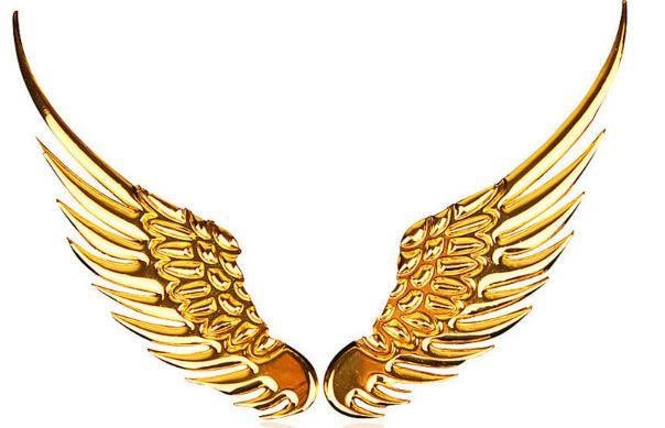 金属ステッカー 羽 ウィング ゴールド 金 天使 鷲 鷹 車 エンブレム デコレーション イーグル コンドル シール付き 日本全国 ステッカー デカール 売買されたオークション情報 Yahooの商品情報をアーカイブ公開 オークファン Aucfan Com
