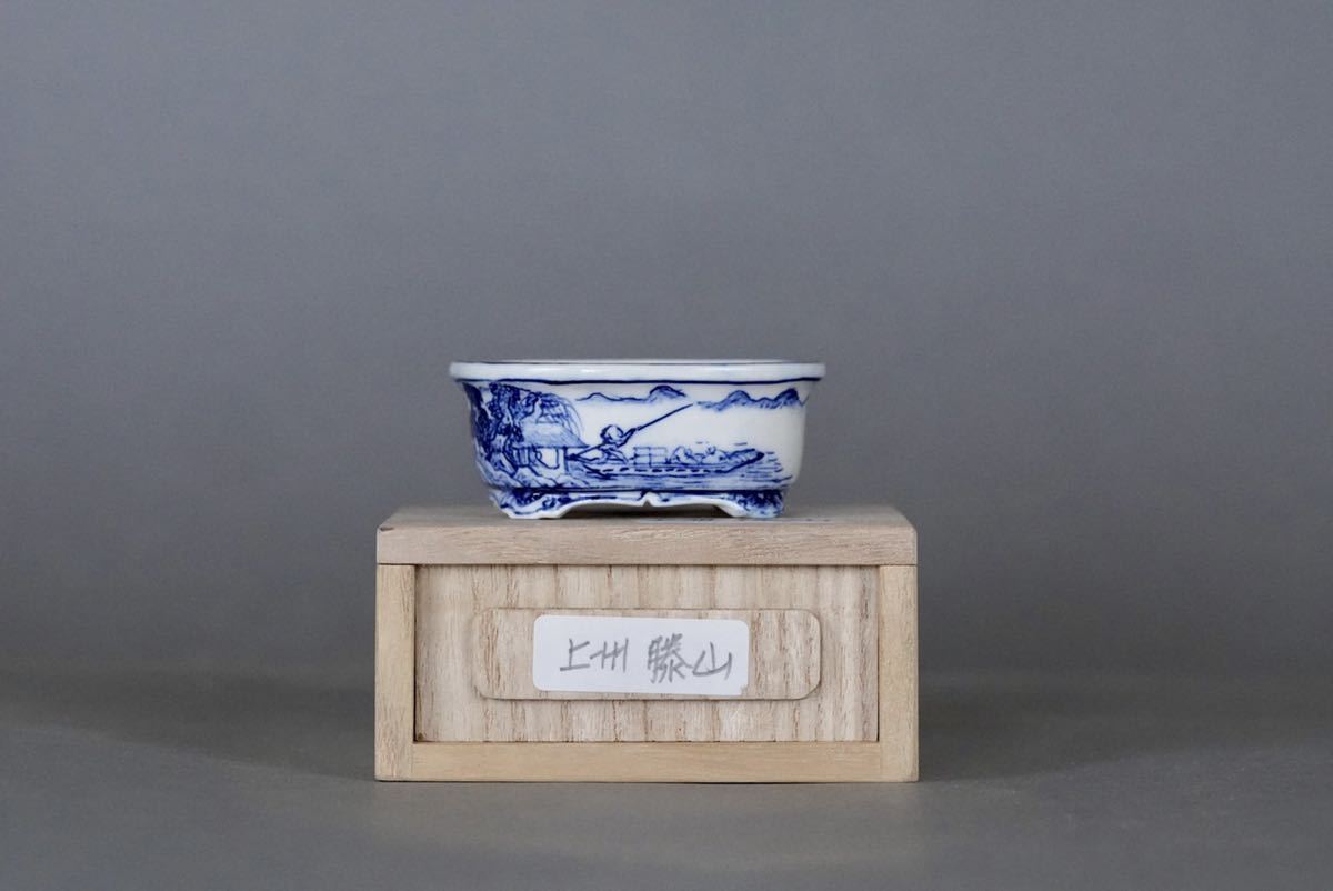 上州勝山 小品盆栽鉢 上州勝山 染付山水楕円鉢 最高絵 箱付け Yahoo