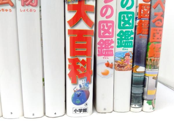 小学館 図鑑 NEO NEO＋ プレNEO 13冊セット プレNEO セット 本 全巻等（全
