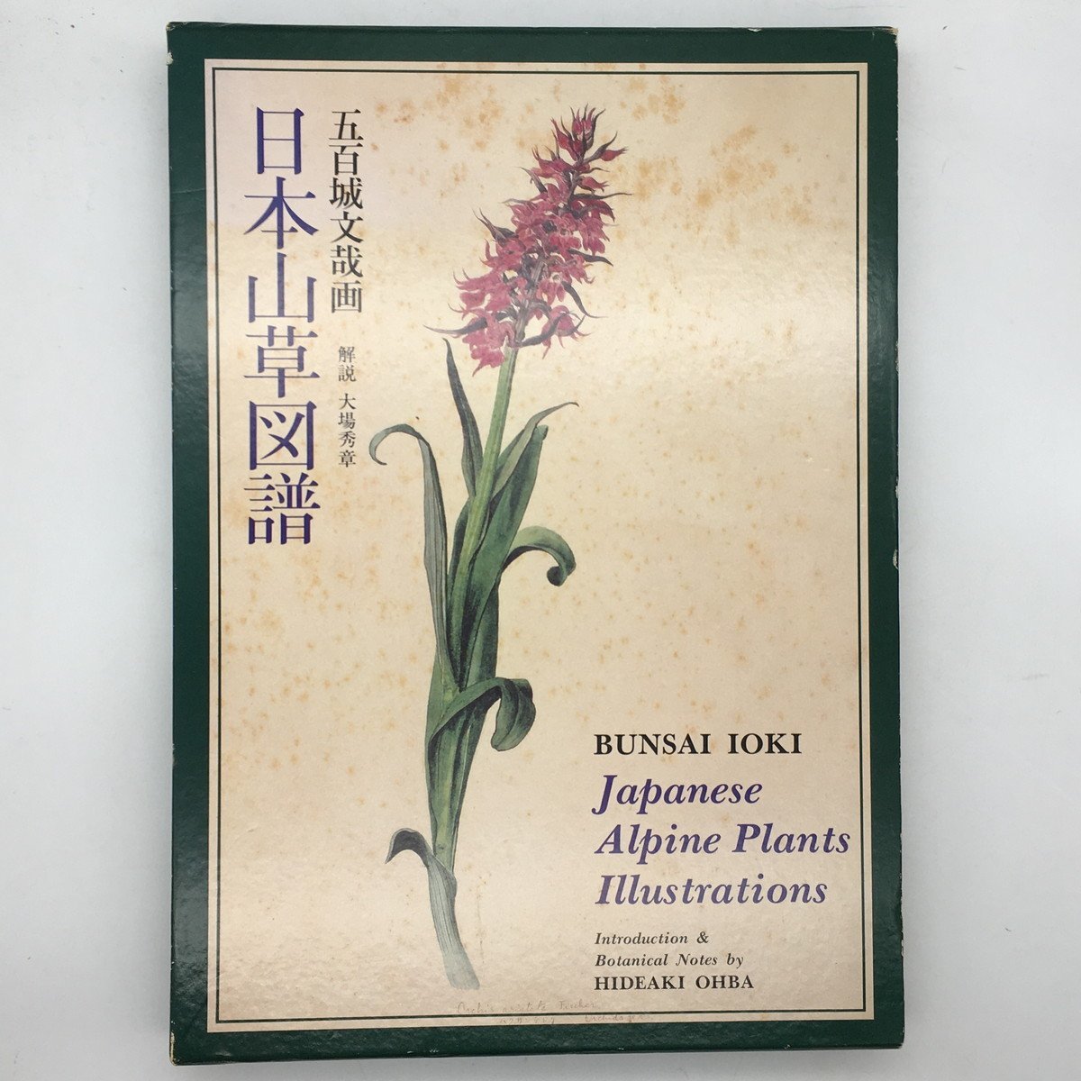 牧野富太郎 植物記 【画集】日本山草図譜 五百城文哉 画 八坂書房