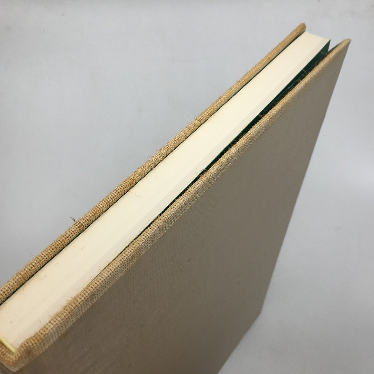 日本山草図譜 日本山草図譜 Amazon.co.jp: 日本山草図譜 : 五百城文哉: Japanese Books