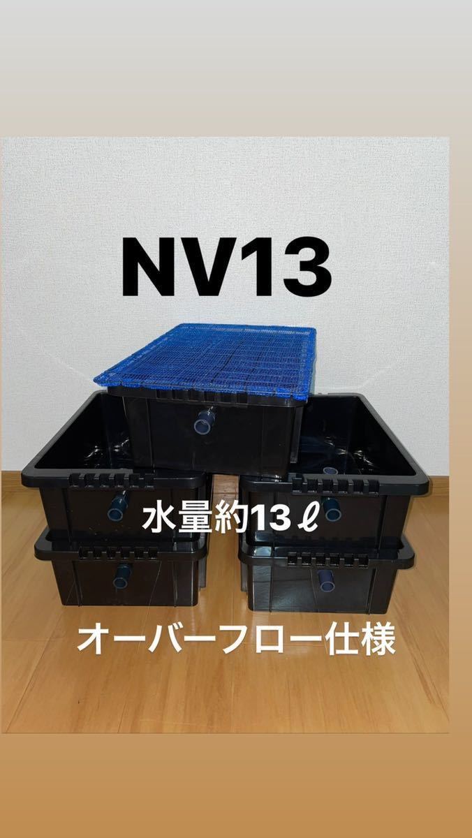 メダカ 容器5点セット（オーバーフロー付） メダカ容器オーバーフロー