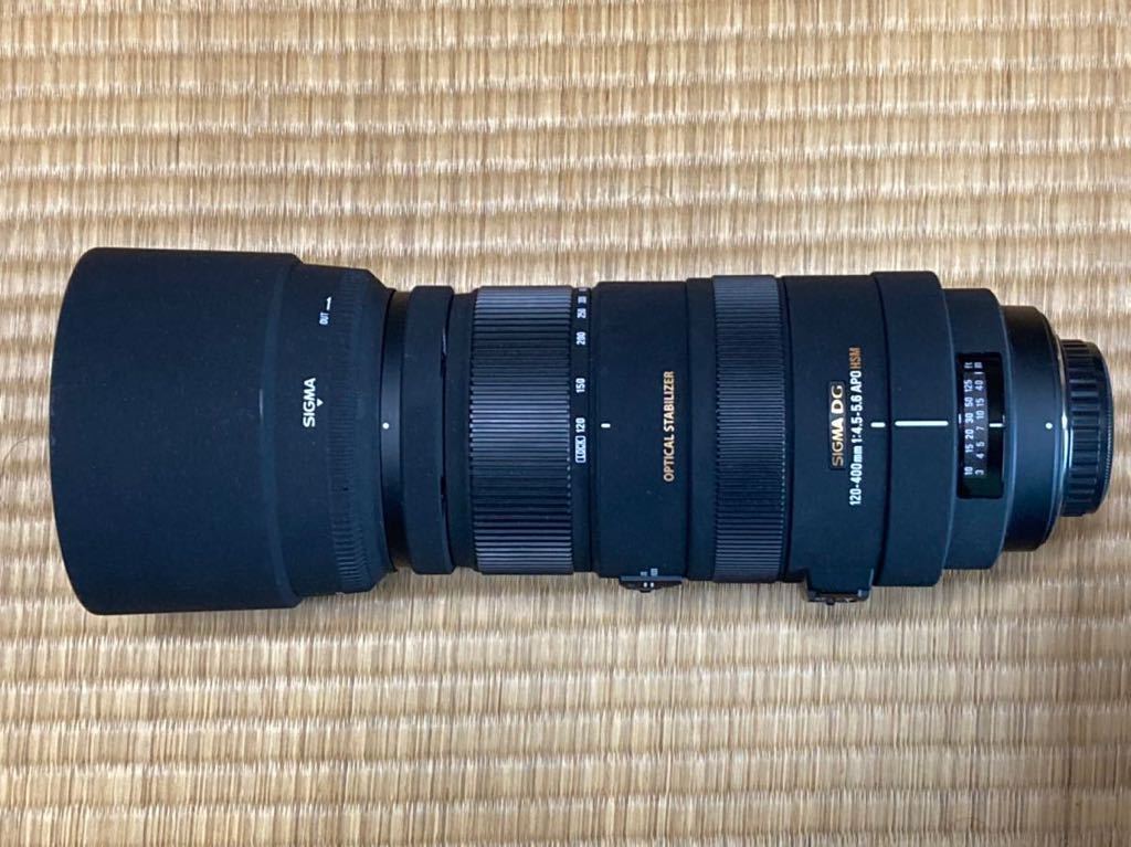 シグマ 120-400mm F4.5-5.6 APO DG OS HSM ペンタックス用 【公式通販】
