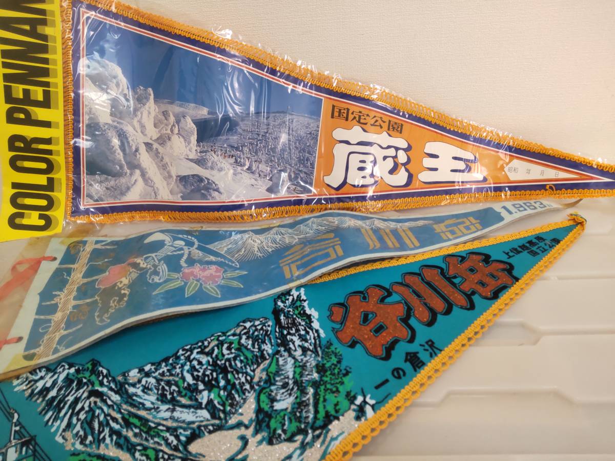 ☆昭和レトロ 年代物 .時代物. ご当地 .観光地.旅行. カラーペナント