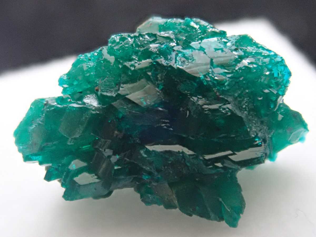 翠銅鉱 カザフスタン産 ダイオプテーズ - 鉱物 ラベル付き