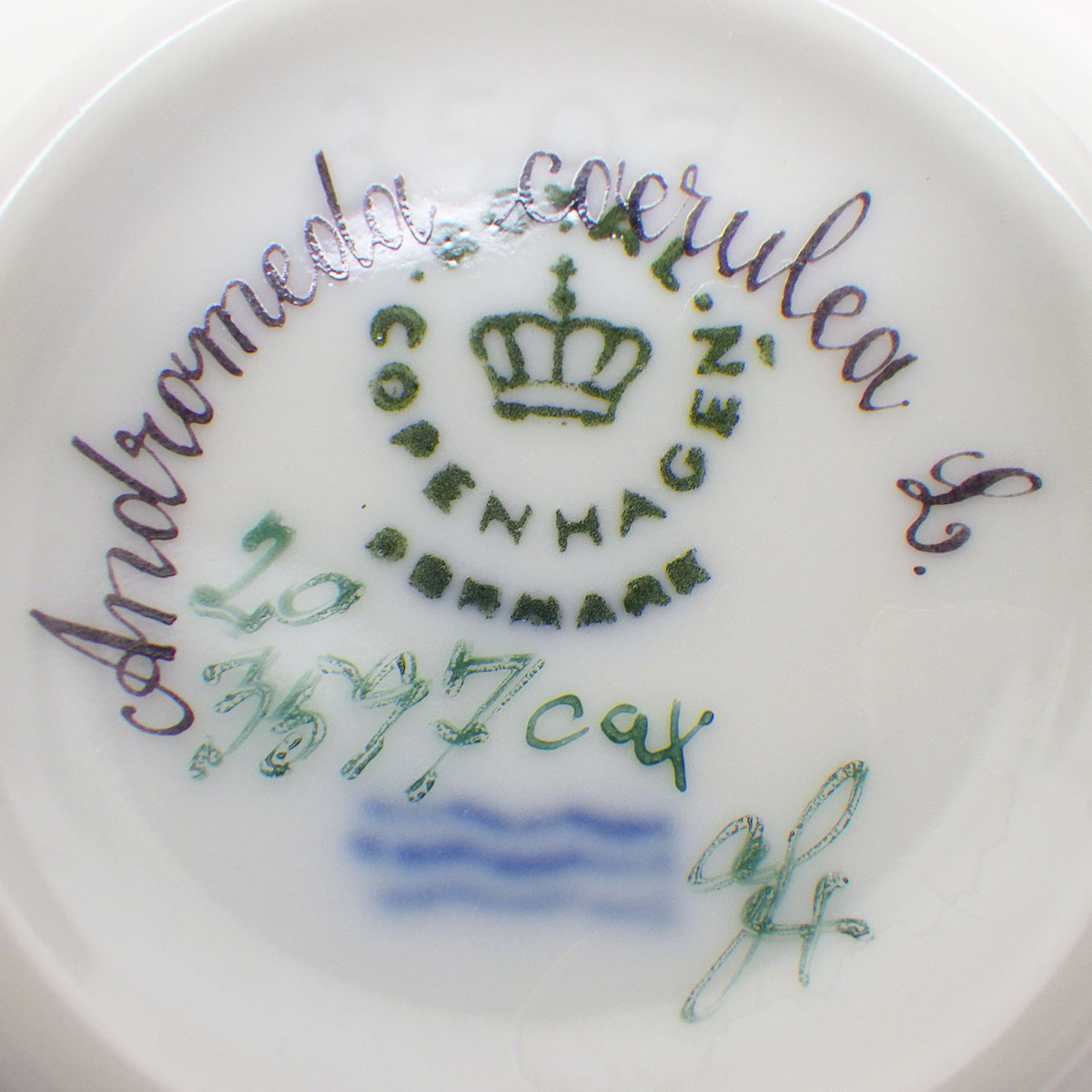 1円～ ロイヤルコペンハーゲン フローラダニカ (Andromeda caerulea) カップ＆ソーサー 食器/Royal Copenhagen o16oyfu-1360151【O商品】_10