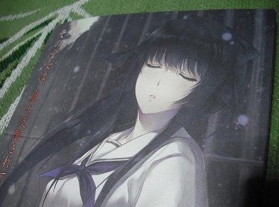虚ノ少女☆小冊子】スギナミキ 杉菜水姫 時坂玲人 茅原雪子 時坂紫