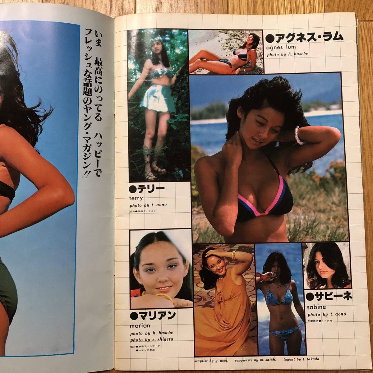 映画ファン 昭和51年 CMアイドル特集号 写真集 アグネスラム テリー