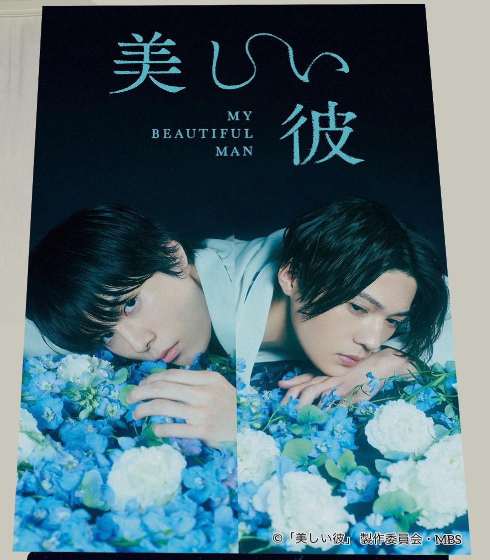 美しい彼2・映画ポスター（B2サイズ）(映画)｜売買されたオークション