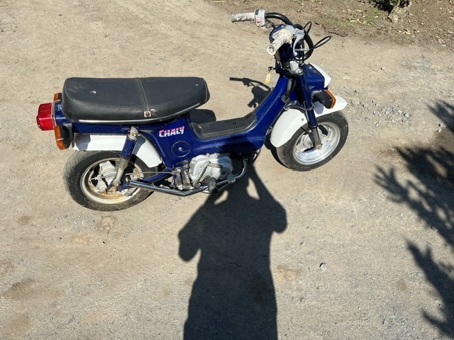 ホンダ シャリー 角目 12V カスタム車 実働｜オートバイ