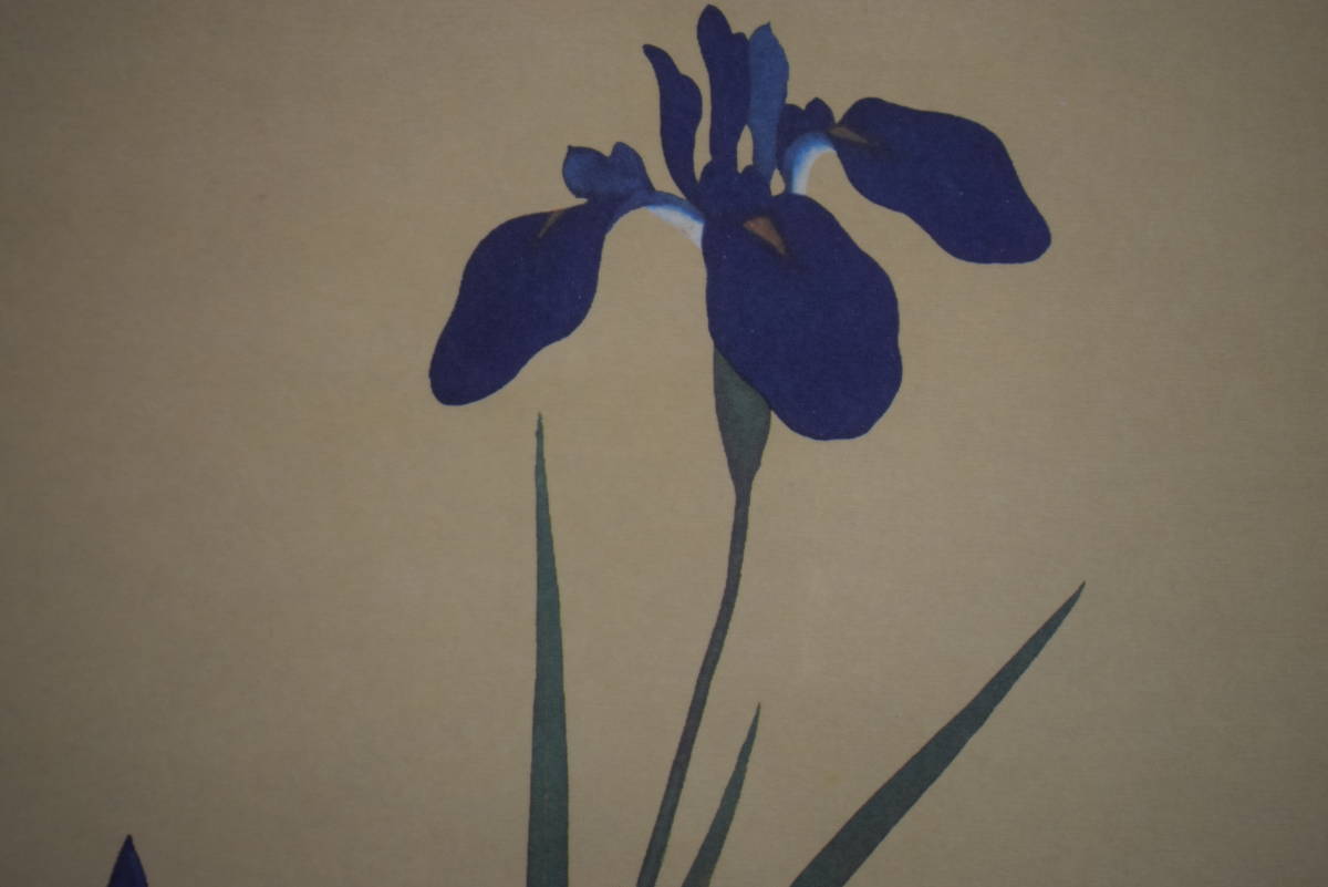 【複製】//酒井抱一/燕子花に水鶏図/工芸/布袋屋掛軸HJ-228_1