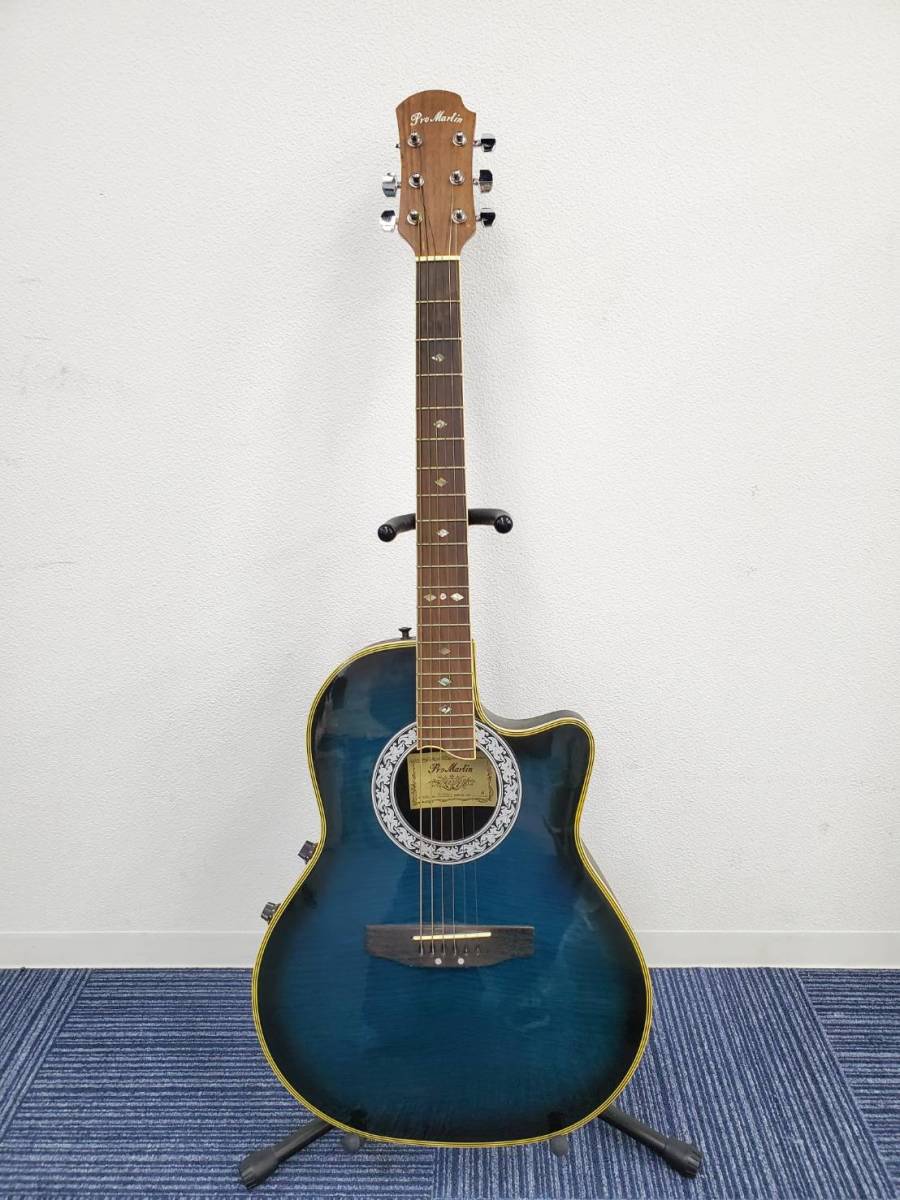 正規販売店 レアギター ProMartin エレアコ EA350BLS