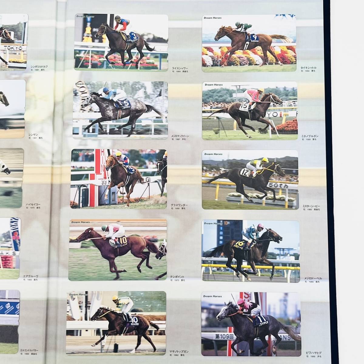 1円スタート】使用済みふみカード 穴あき Dream Horses 20世紀の 1円スタート】使用済みふみカード 穴あき Dream Horses 20世紀の