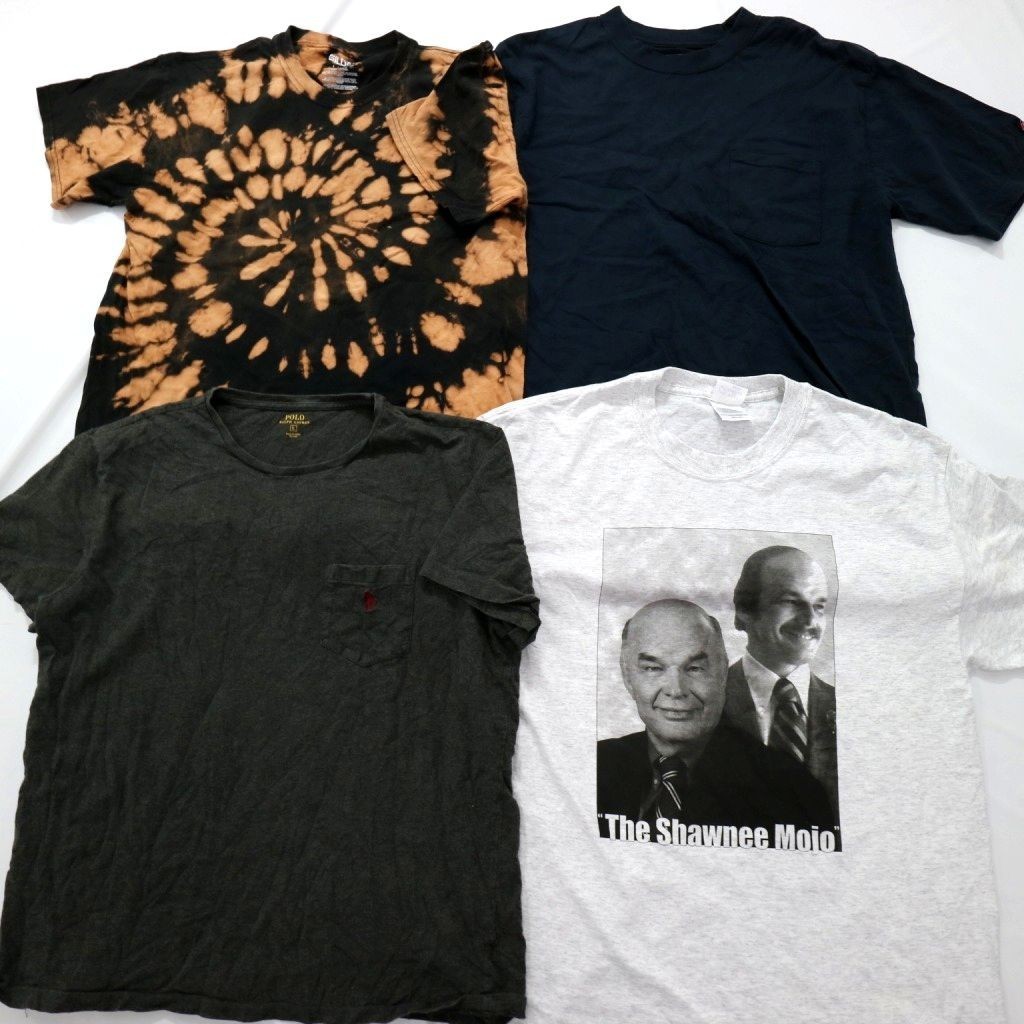 ◎古着屋系 ブランドMIX Tシャツ set ラルフ CHAMPION 他 (メンズL) 16枚