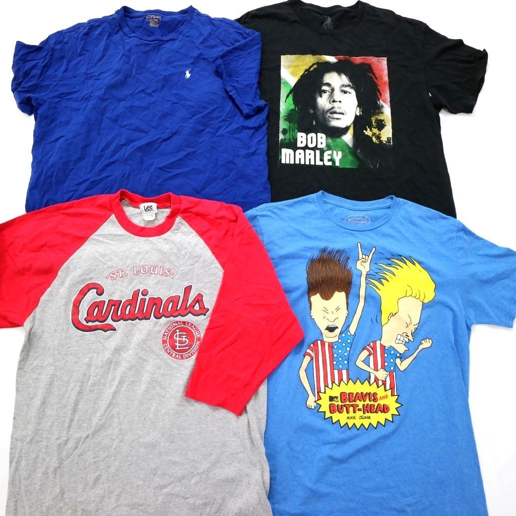 ◎古着屋系 ブランドMIX Tシャツ set ラルフ CHAMPION 他 (メンズL) 16枚
