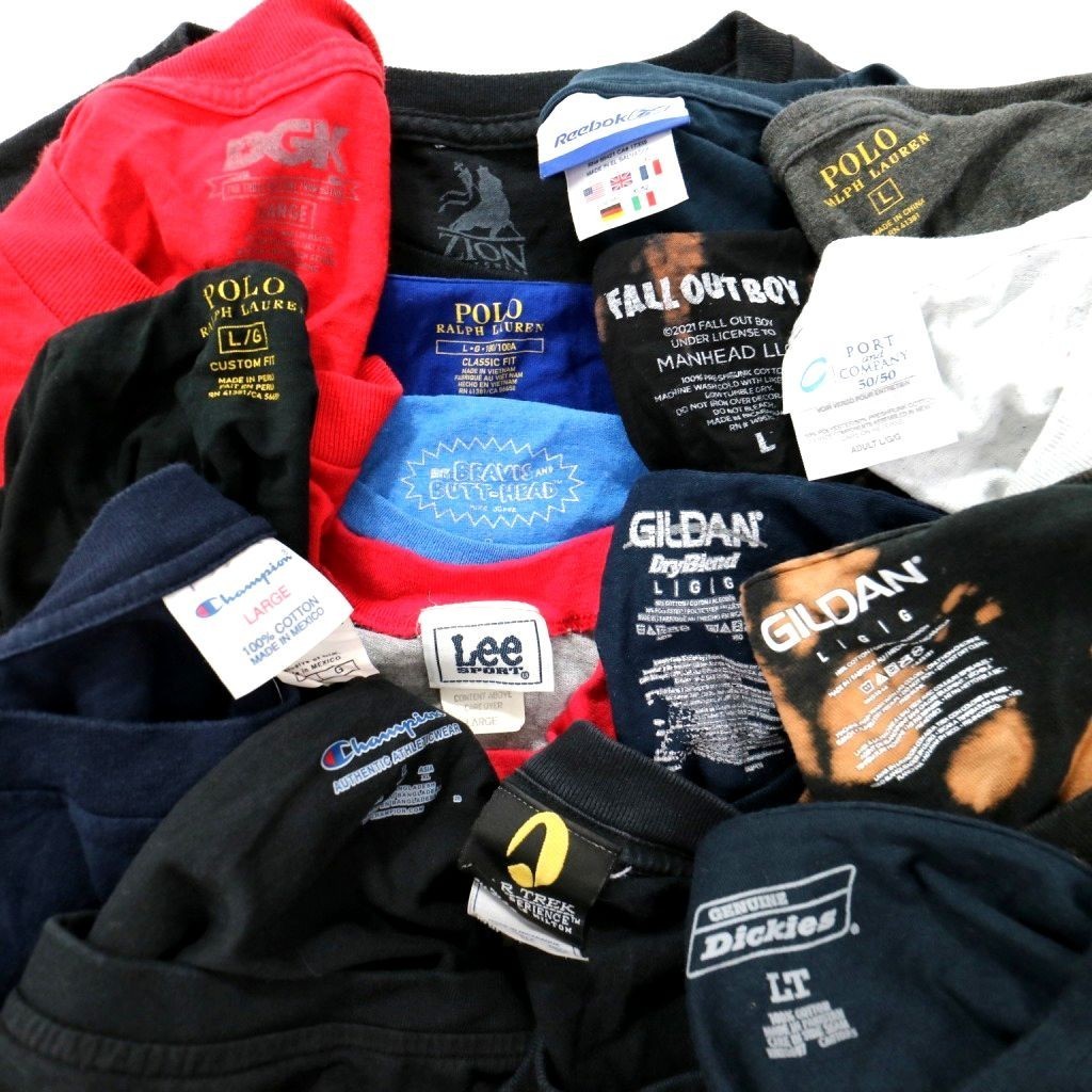 ◎古着屋系 ブランドMIX Tシャツ set ラルフ CHAMPION 他 (メンズL) 16枚