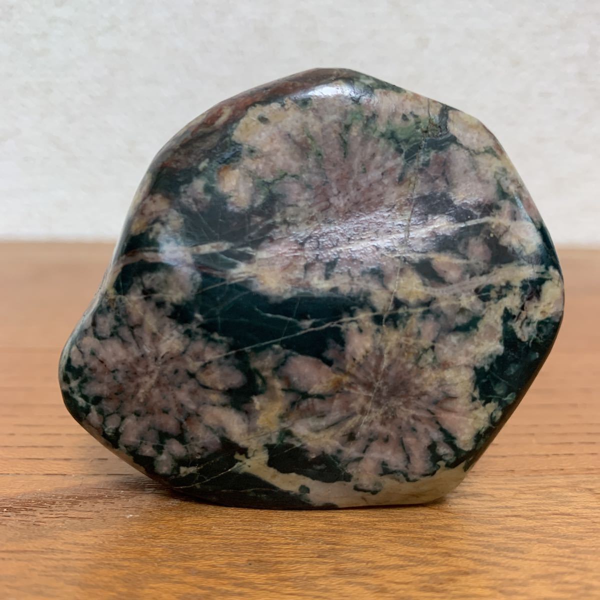 盆栽・苔玉 菊花石 岐阜県根尾谷産1.2㌔ 鑑賞石 観賞石 水石 盆石