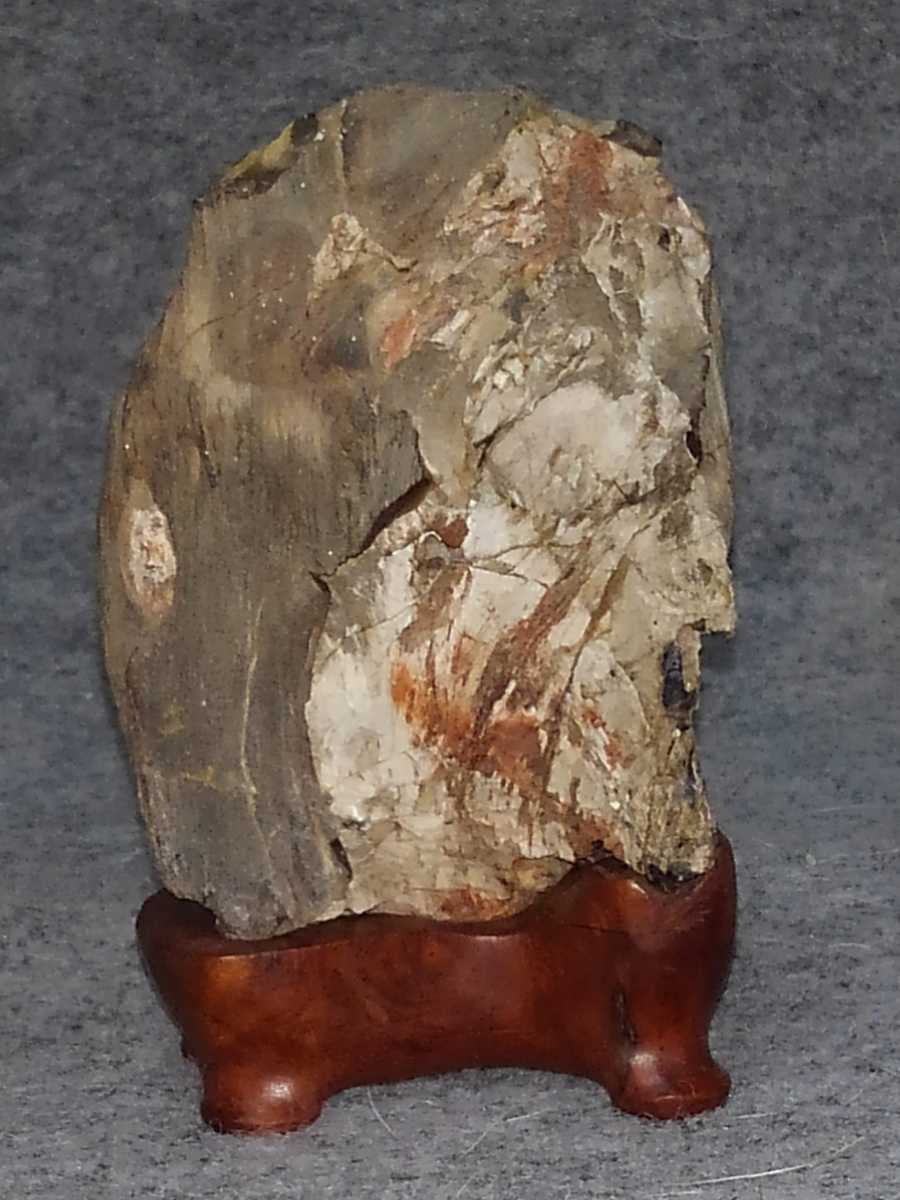 珪化木 木化石 紅白 秋田 鳥海川 化石 原石 水石 盆石 鑑賞石 自然石