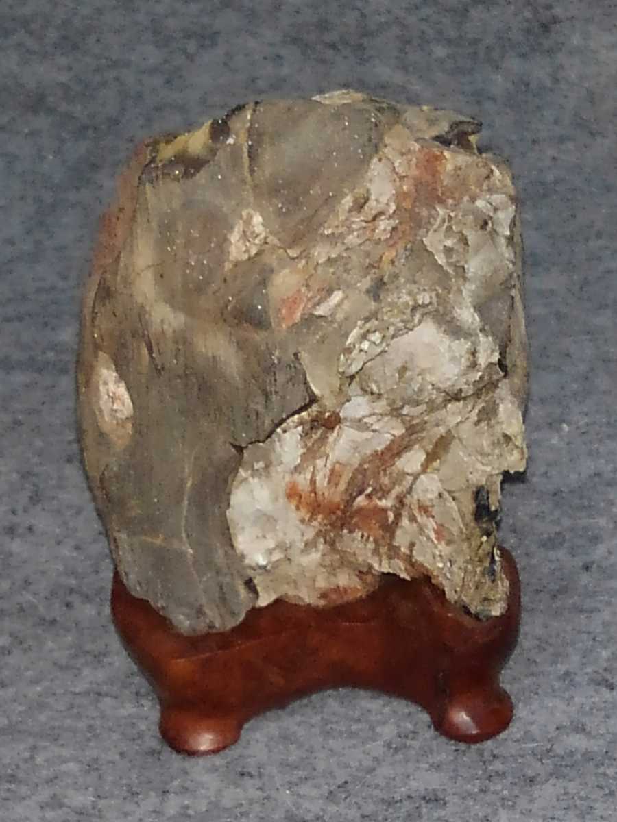 珪化木 木化石 紅白 秋田 鳥海川 化石 原石 水石 盆石 鑑賞石 自然石