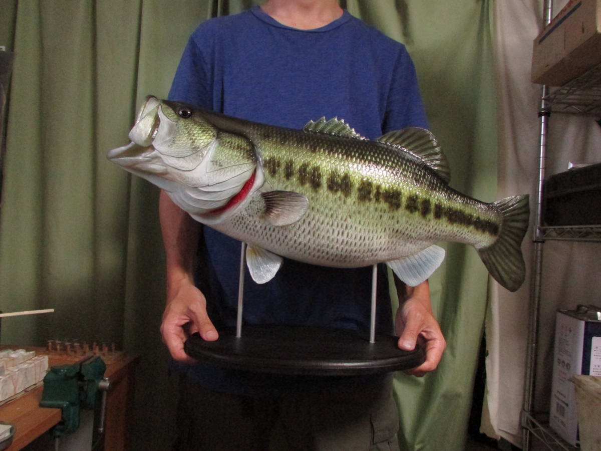 レプリカ フィギュア ハンドメイド 魚模型 バス釣り 62cmブラックバス 