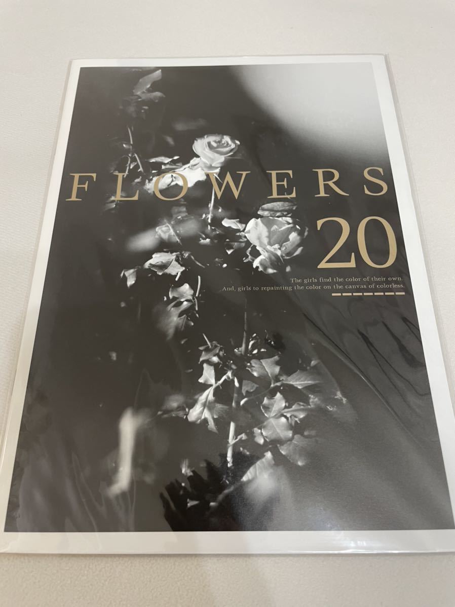 FLOWERS Innocent Grey イノグレ スギナミキ 杉菜水姫 非売品冊子