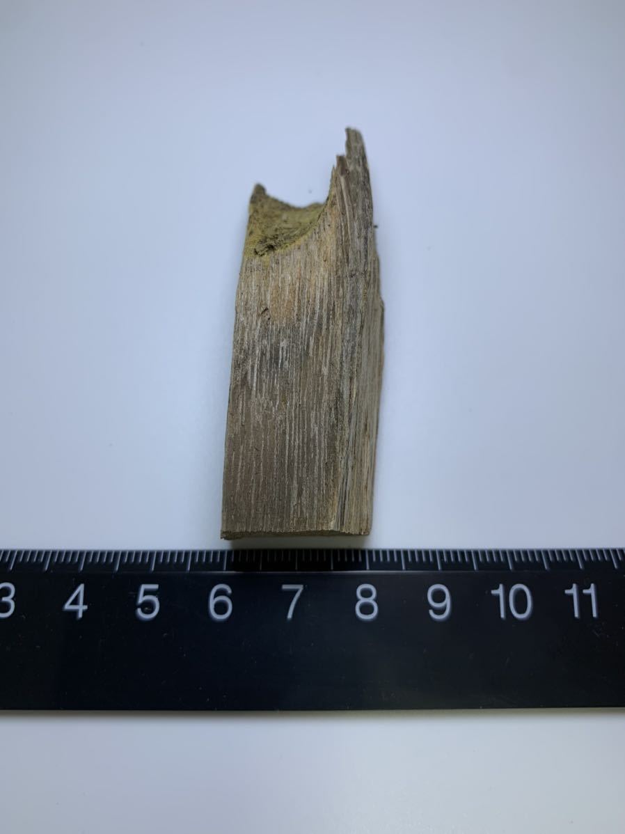 お香、香炉 | navtojbuilders.com