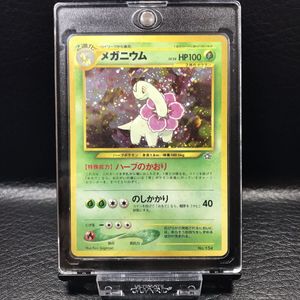 メガニウム ポケモンカードの値段と価格推移は 196件の売買情報を集計したメガニウム ポケモンカードの価格や価値の推移データを公開