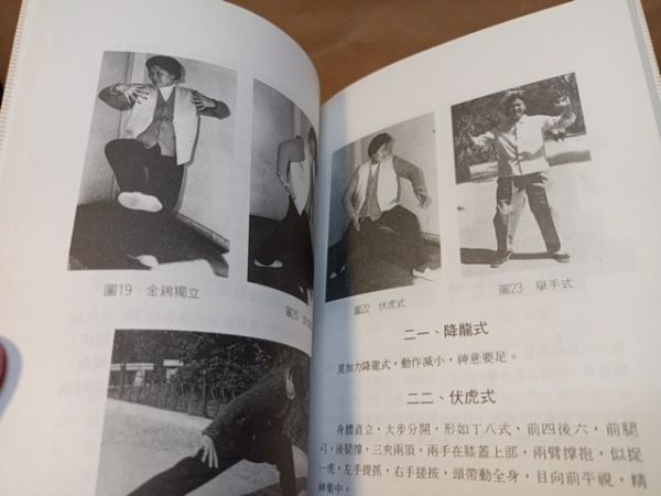 超激得，新作】 王向斉意拳站椿功 王玉芳｜中文中国拳法教本