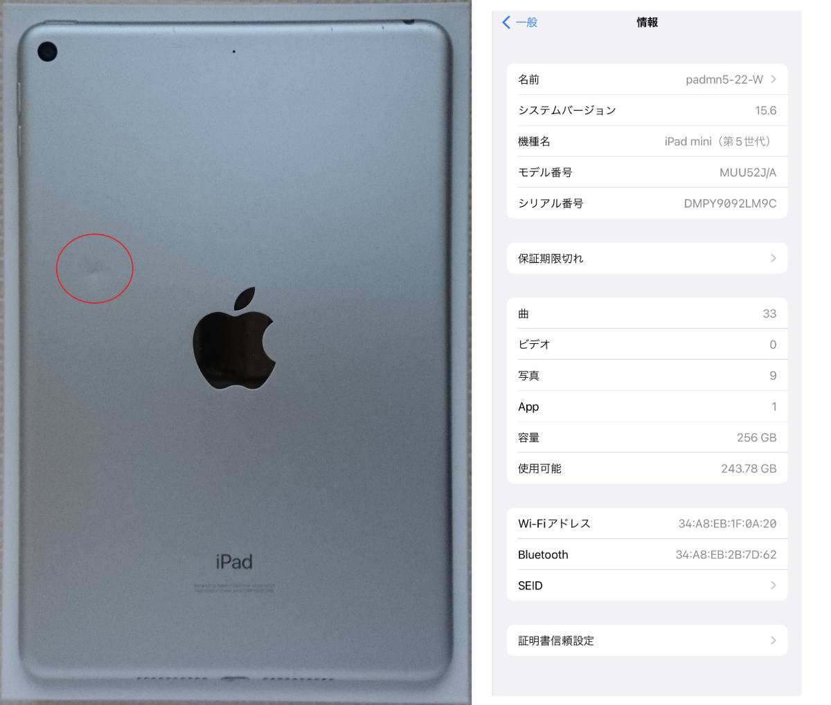 iPad 256GB Apple mini おまけ多数！ Wi-Fi mini5 リニュード Wi-Fi+ 