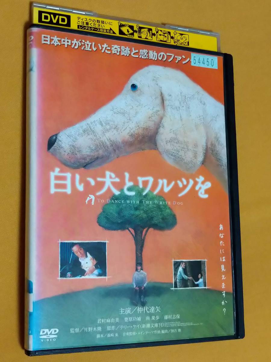 白い犬の値段と価格推移は 6件の売買情報を集計した白い犬の価格や価値の推移データを公開