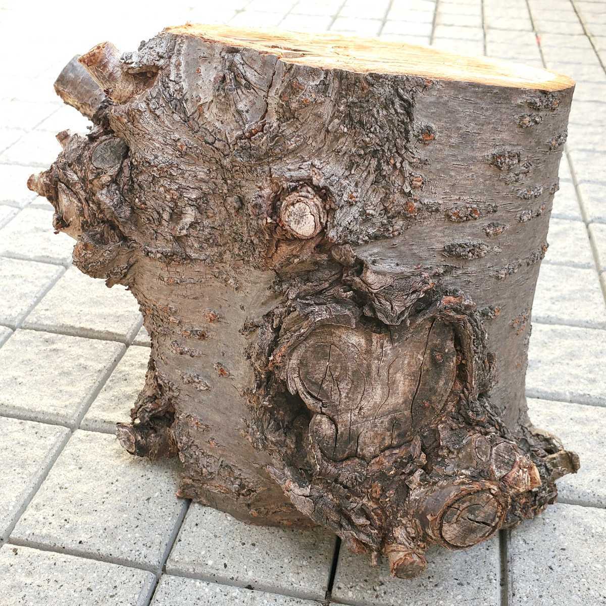 桜！！丸太！原木、桜チップ！