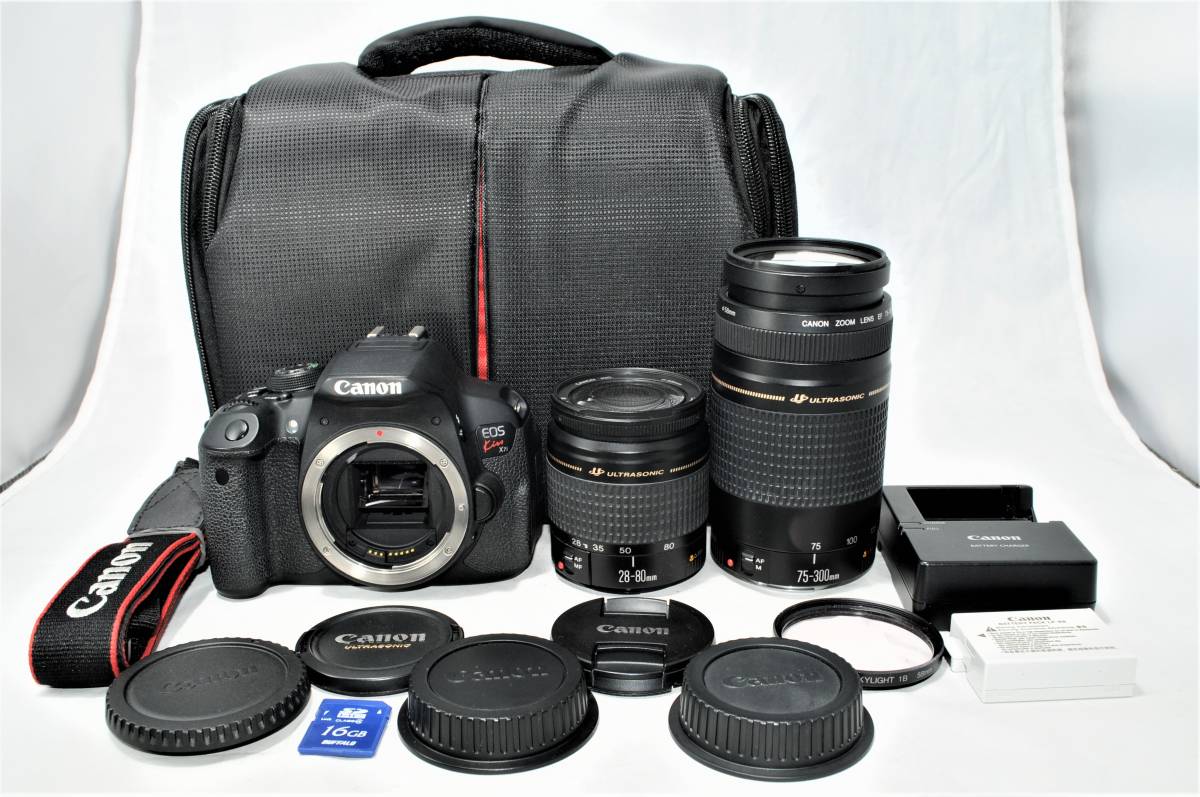 ☆バッグ付美品☆ キャノン Canon デジタル一眼レフカメラ EOS Kiss 
