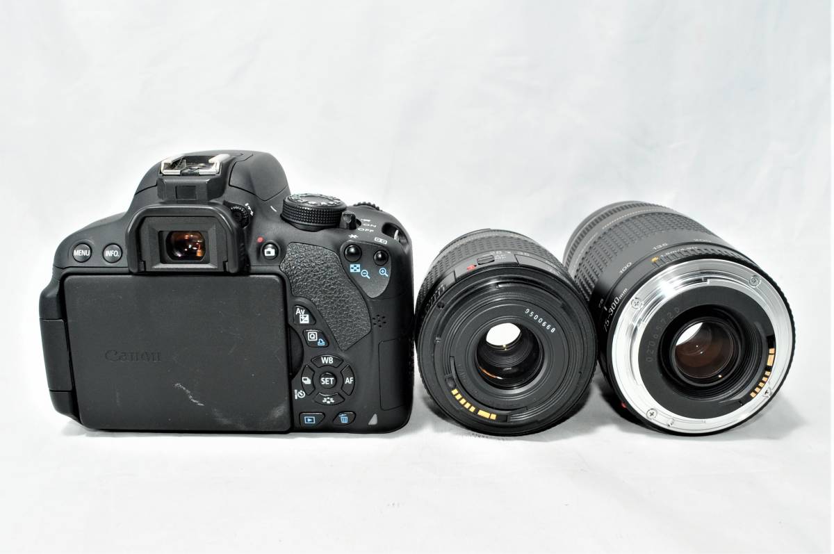 ☆バッグ付美品☆ キャノン Canon デジタル一眼レフカメラ EOS Kiss 